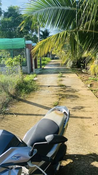 Bán đất nền 150m2 thổ cư 100% tại xã Tam Phước, Bến Tre - Giá 650 triệu