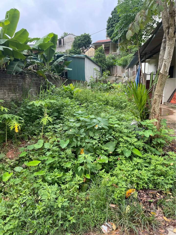 Đất Yên Bái - Trung tâm thành phố, giá hời hơn tỷ, sát bệnh viện, trường học