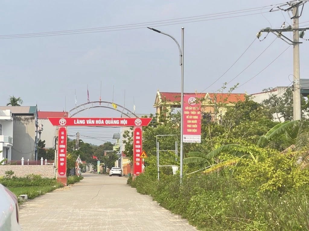 Nhà cấp 4 Quảng Hội, Sóc Sơn - Dòng tiền ổn định, view đồng thoáng mát