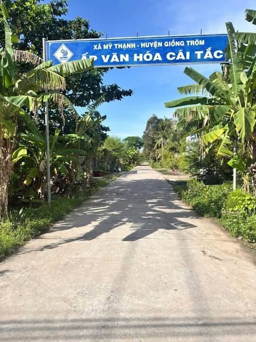 Đất nền 450m2 mặt tiền lộ 5m tại xã Mỹ Thạnh, Bến Tre