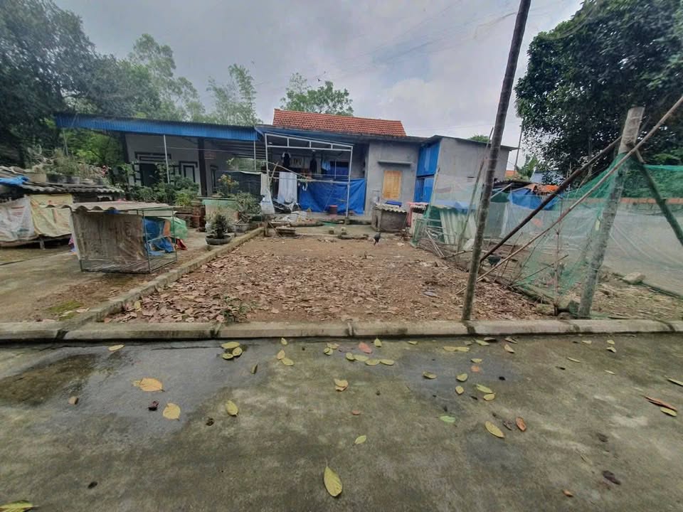 Lô đất vàng Chính Mỹ, Dương Kinh - Nơi an cư lý tưởng