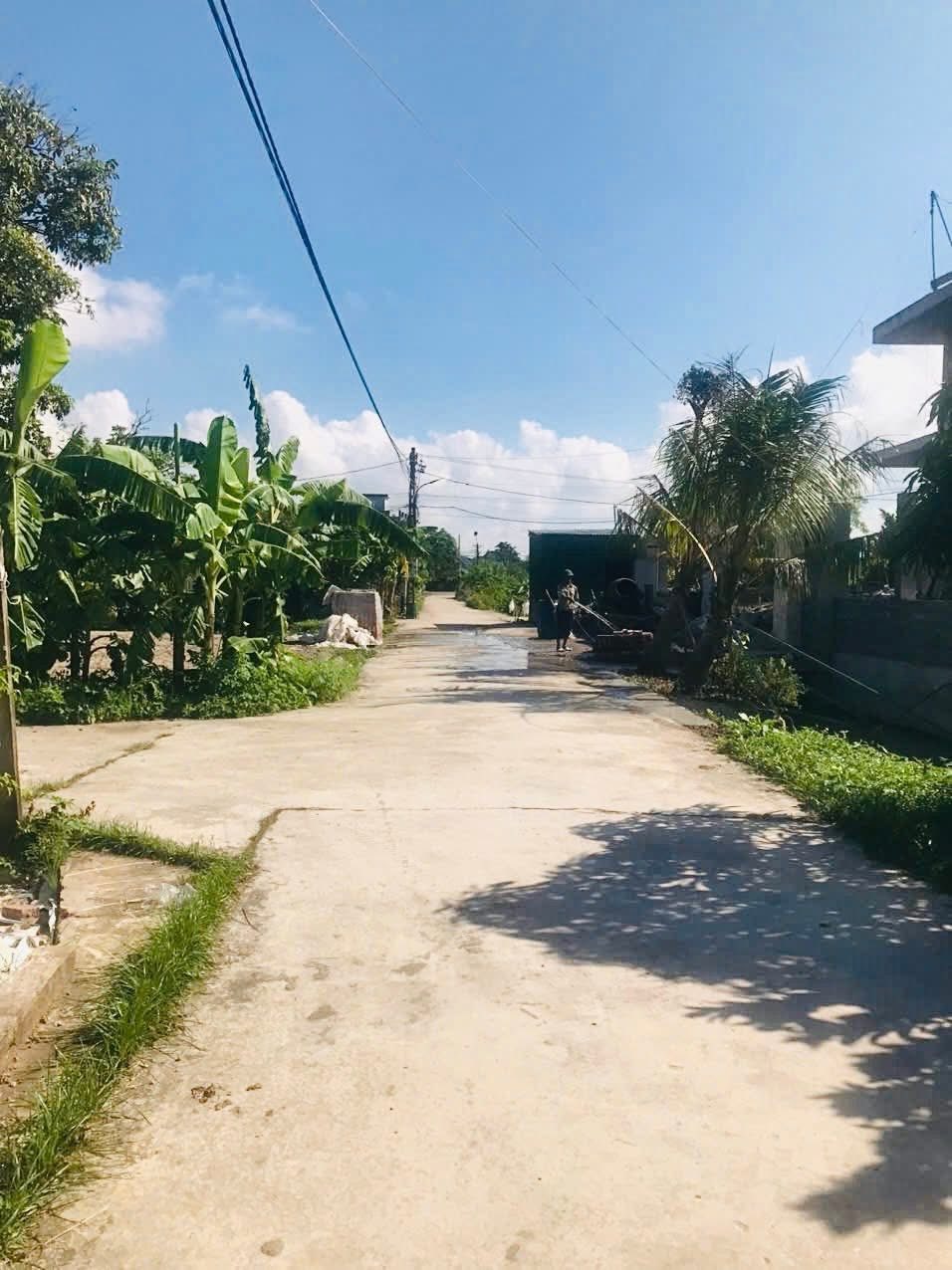 Đất Tự Tân, Vũ Thư: 110m² đường ô tô tránh, giá đầu tư!