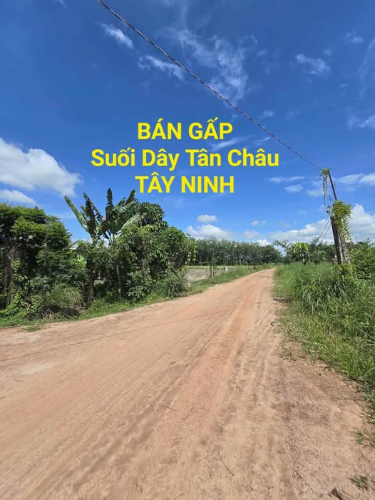 Mảnh đất tại Suối Dây, Tân Châu, Tây Ninh, mang trong mình vẻ đẹp hoài cổ