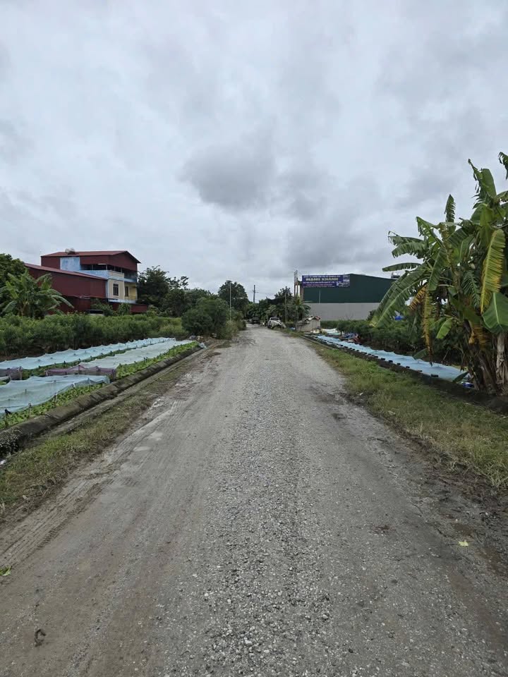 Bán lô đất đấu giá tại Xuân Ổ B, phường Võ Cường, tỉnh Bắc Ninh