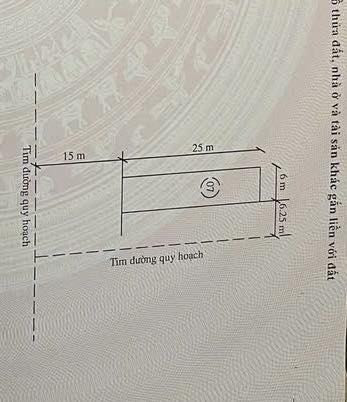 Chủ nhà n cặp đất đầu ve siêu hời tại Quảng Hải, Quảng Xương, Thanh Hóa