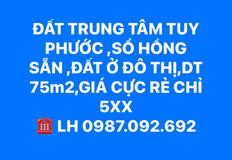 Đất trung tâm Tuy Phước giá rẻ bất ngờ