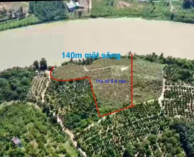 Bán đất vườn xinh xinh, bám sông thoáng mát, giá hời như mơ