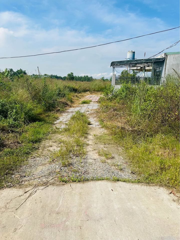 Siêu phẩm đất sạch tại Mỹ Xuân, Bà Rịa - Vũng Tàu đã chính thức lộ diện