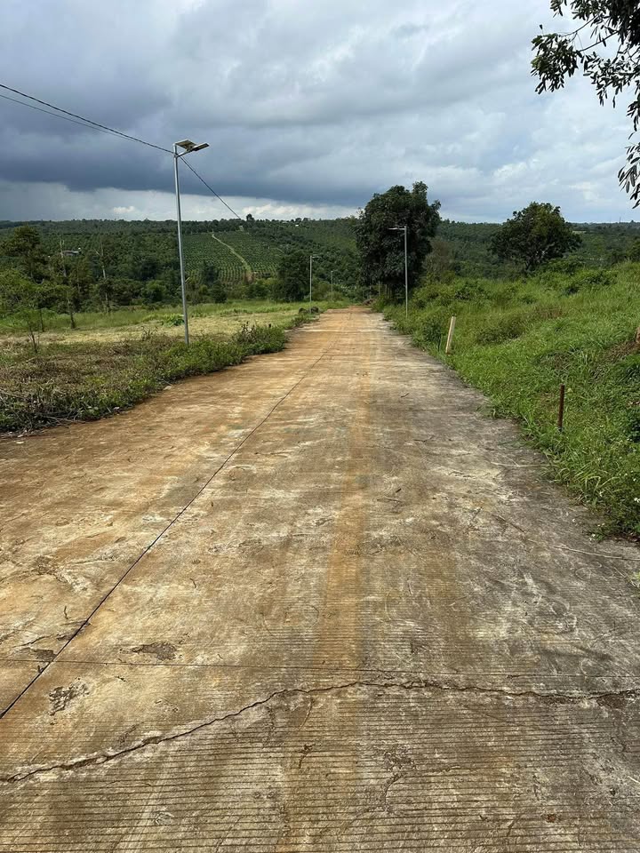 Nhà cấp 4 trên đường bê tông rộng tại Đắk Wer, diện tích 10m x 46m, giá 350 triệu