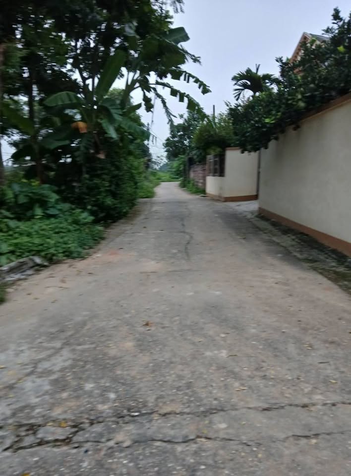 Đất đẹp Thanh Miếu, giá yêu thương