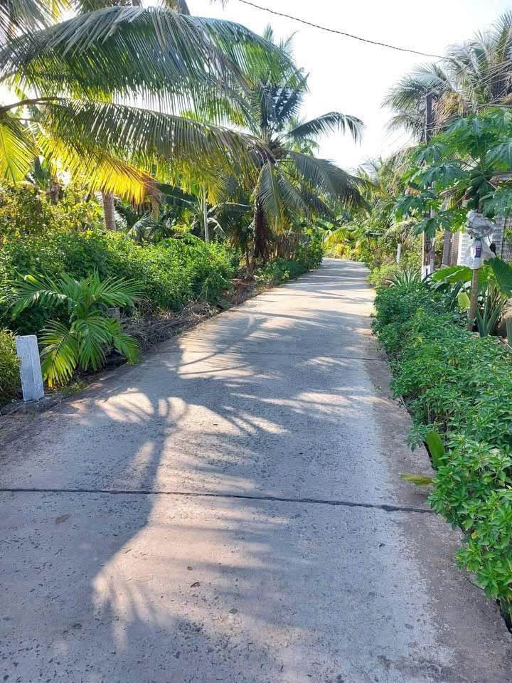 Đất vàng Bến Tre 876m2 mặt tiền lộ Bờ Dừa, sổ hồng sẵn sàng, giá chỉ 1.45 tỷ