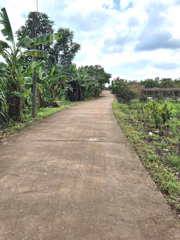 Siêu phẩm đất nền 2.400m2 mặt tiền đường bê tông - Chỉ 1.299 tỷ