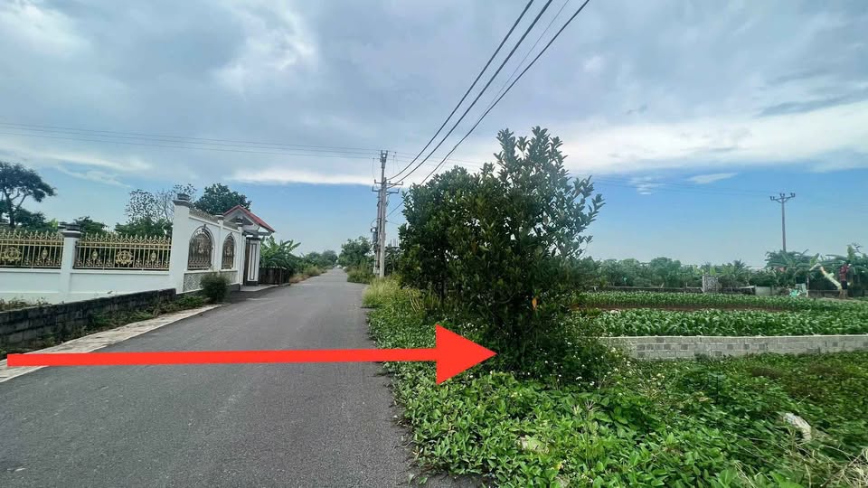 Đất thổ cư Triệu Việt Vương - Hưng Yên - Ô tô tránh nhau, đầu tư đỉnh