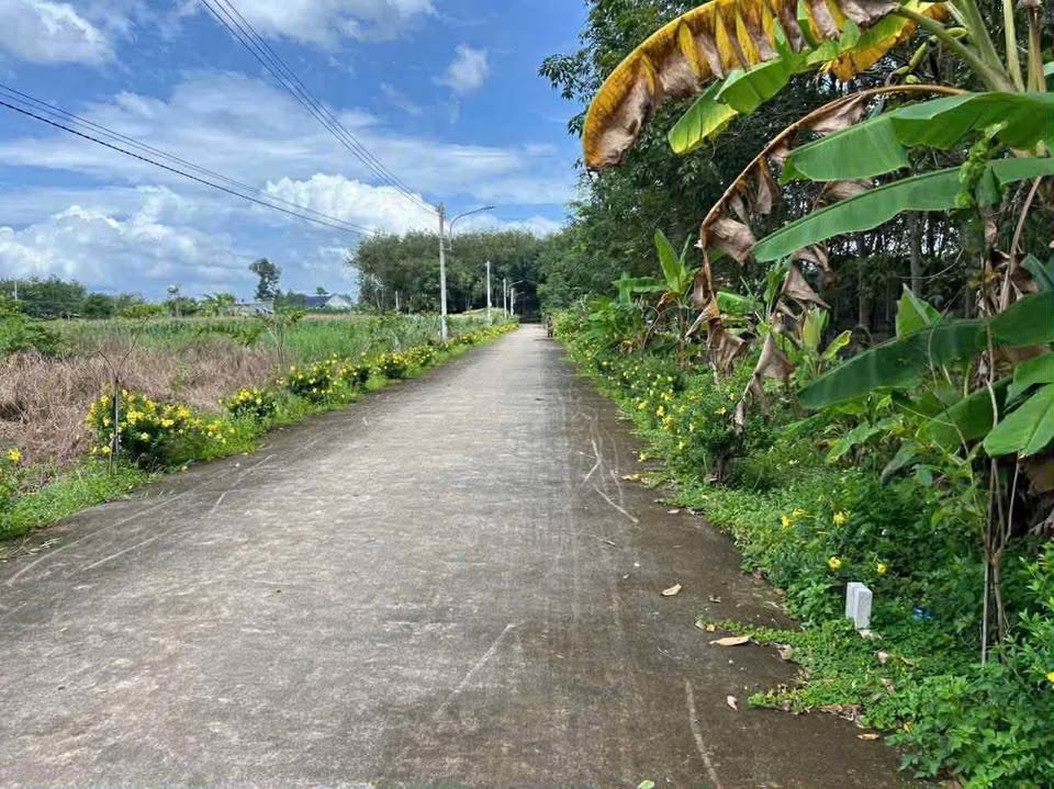 Cơ hội vàng sở hữu ngay lô đất thổ cư 100% tại khu dân cư hiện hữu Tân Hiệp