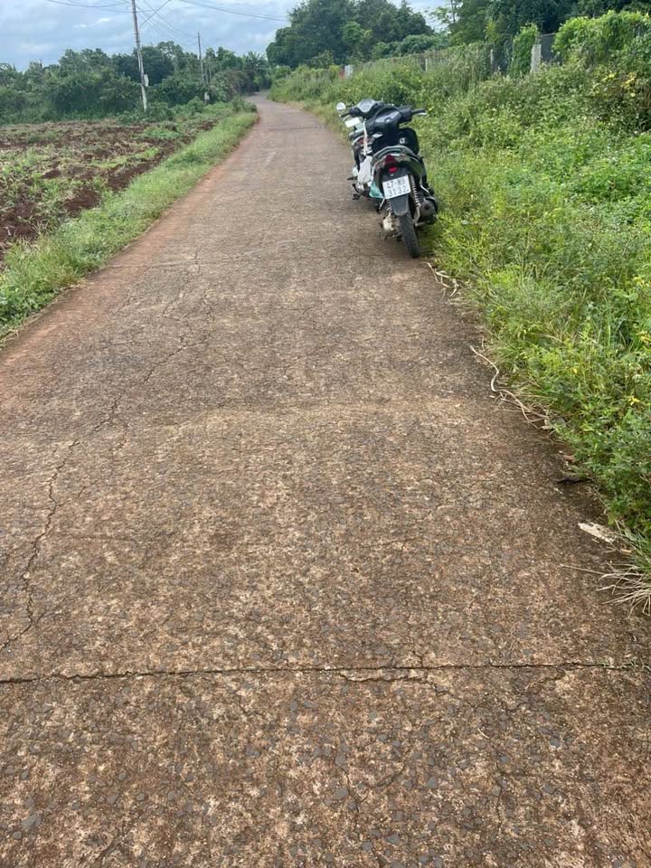 Đất nền liền kề siêu hot, đầu tư là lời ngay