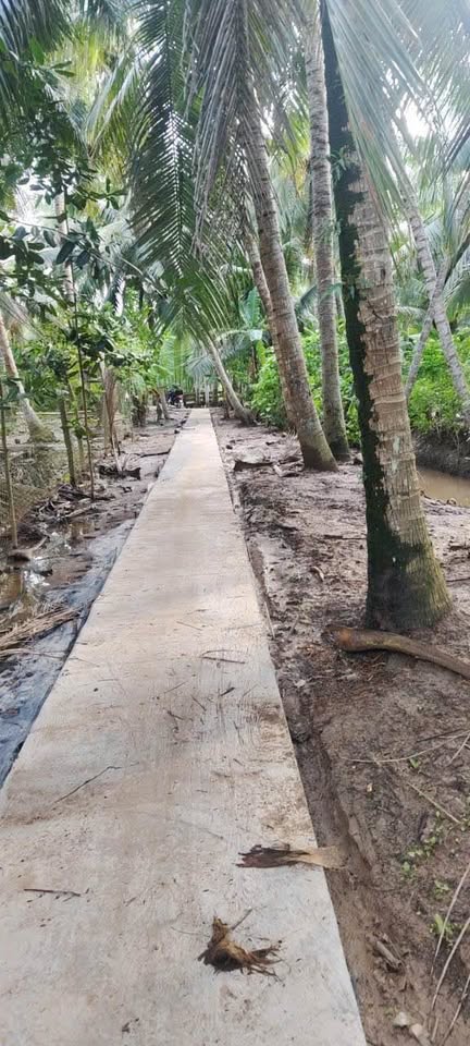 Đất vườn dừa xịn xò, view triệu đô, giá hời