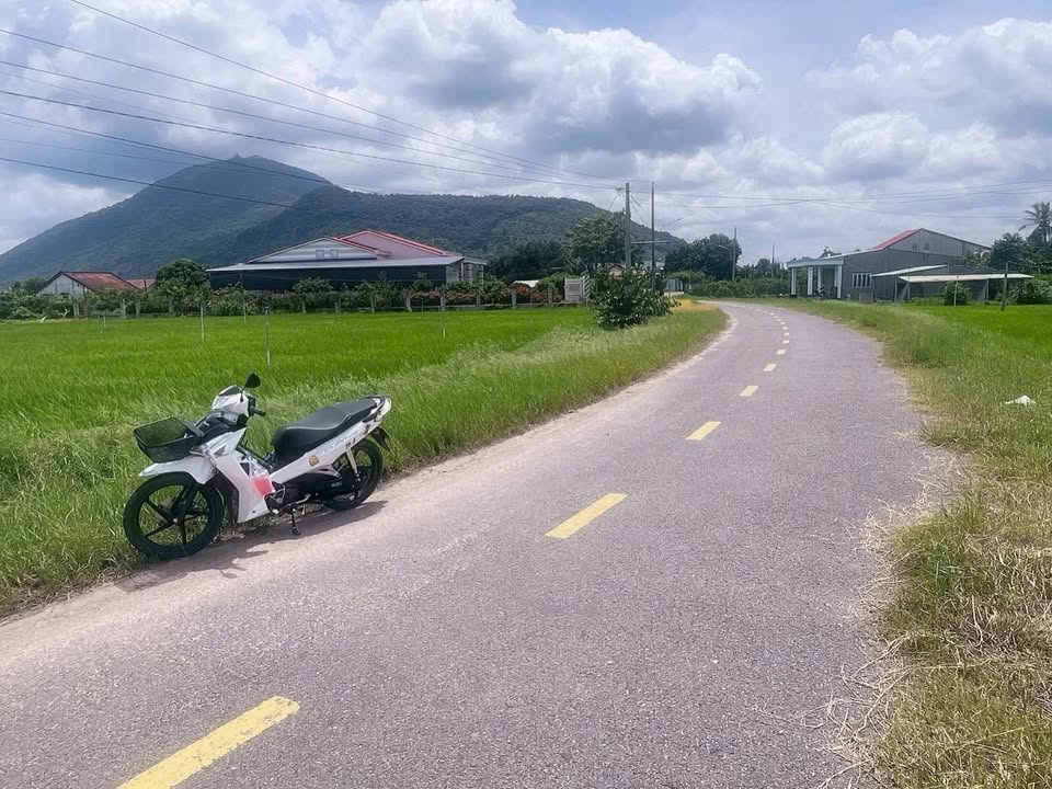 Đất Thạnh Lợi view núi Bà, giá rẻ bất ngờ