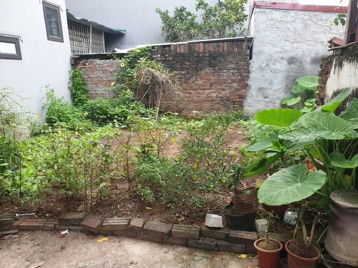 Bán đất vuông vắn 48m2 tại Tây Mỗ, Nam Từ Liêm, Hà Nội