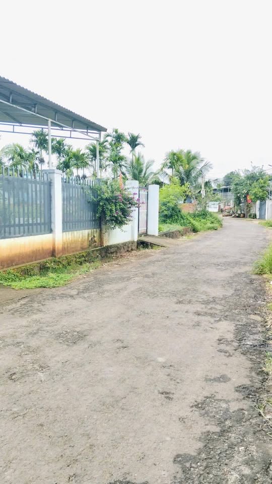 Đất mặt tiền đường nhựa, giá hời, chốt nhanh tay kẻo lỡ