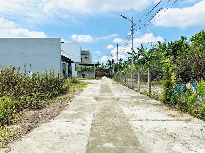 Vườn an cư lạc nghiệp, đất kiệt Mai Đăng Chơn