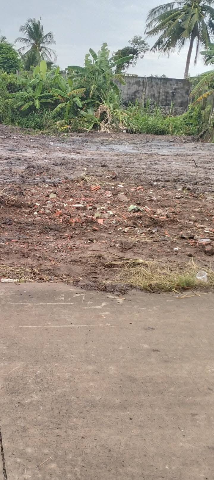 Bán nền đất mặt tiền rộng 15m tại Bến Tre - Cơ hội đầu tư hấp dẫn