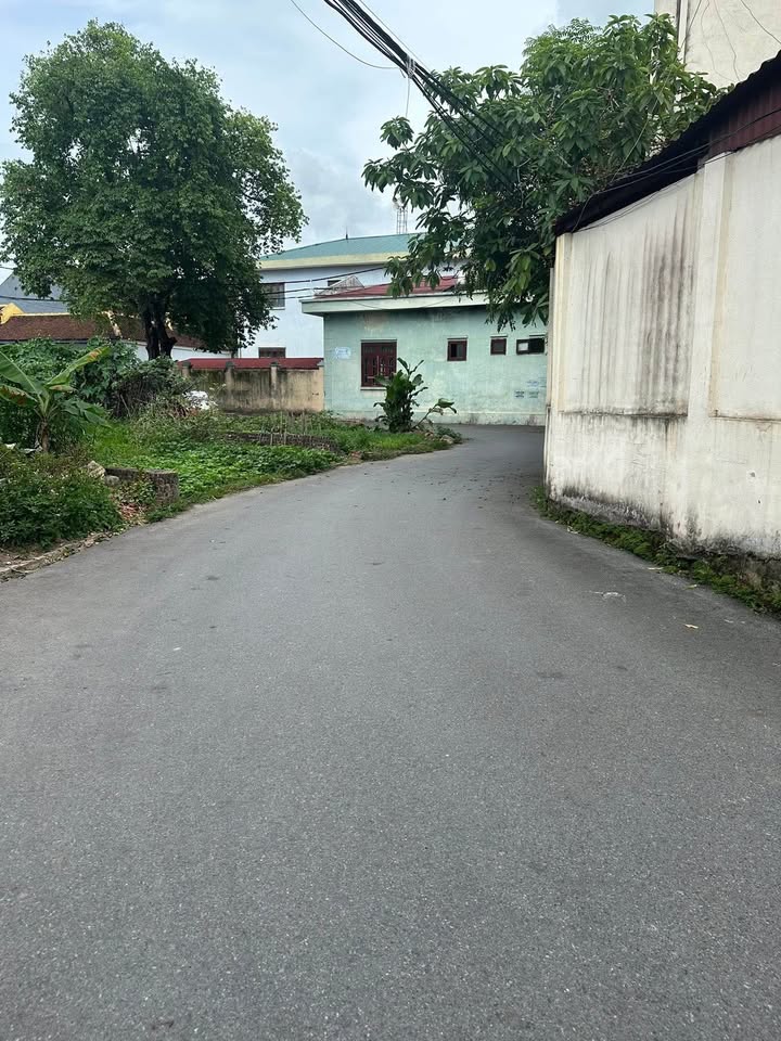 Đất 70m Song Liễu, Gia Bình - Xây dựng thoải mái, giá hời