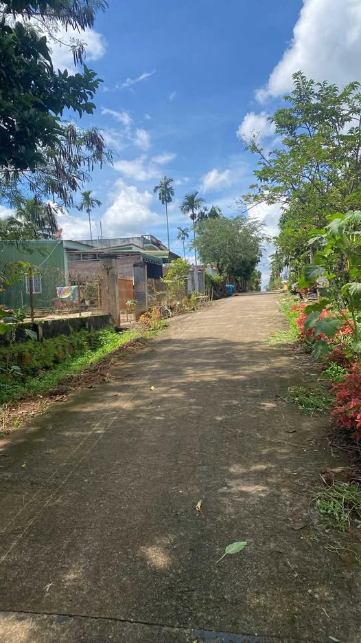 Đất thổ cư siêu hot tại xã Quảng Tiến, vị trí đắc địa