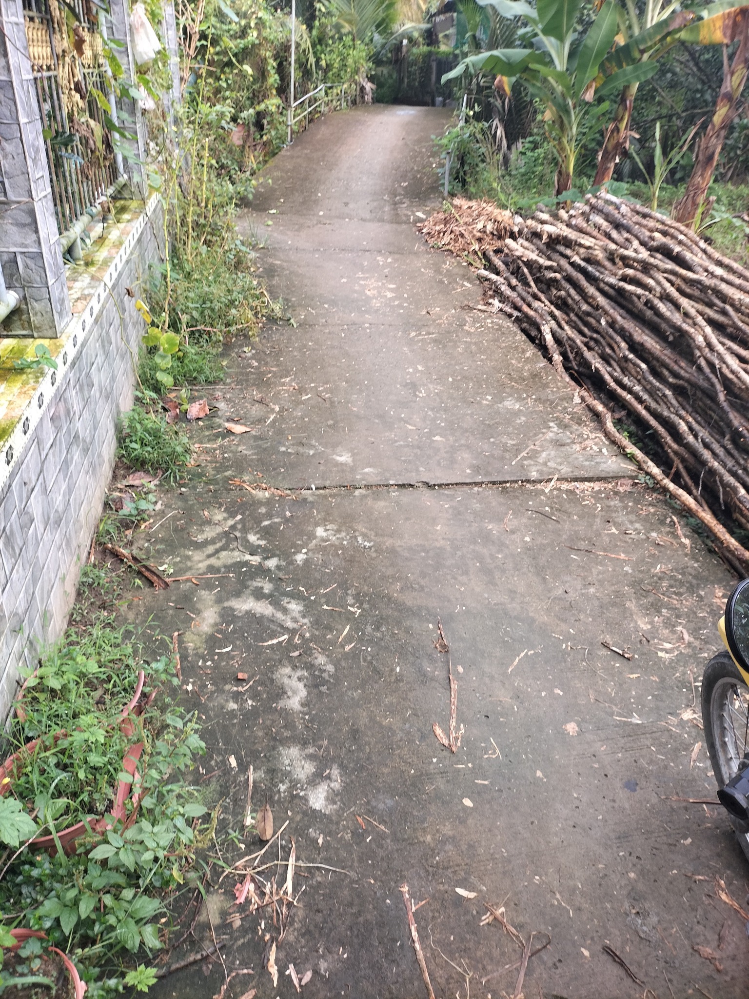 Bán gấp đất Phú Phong, Cái Bè - Mặt tiền 14m, nở hậu, 150m2 thổ cư