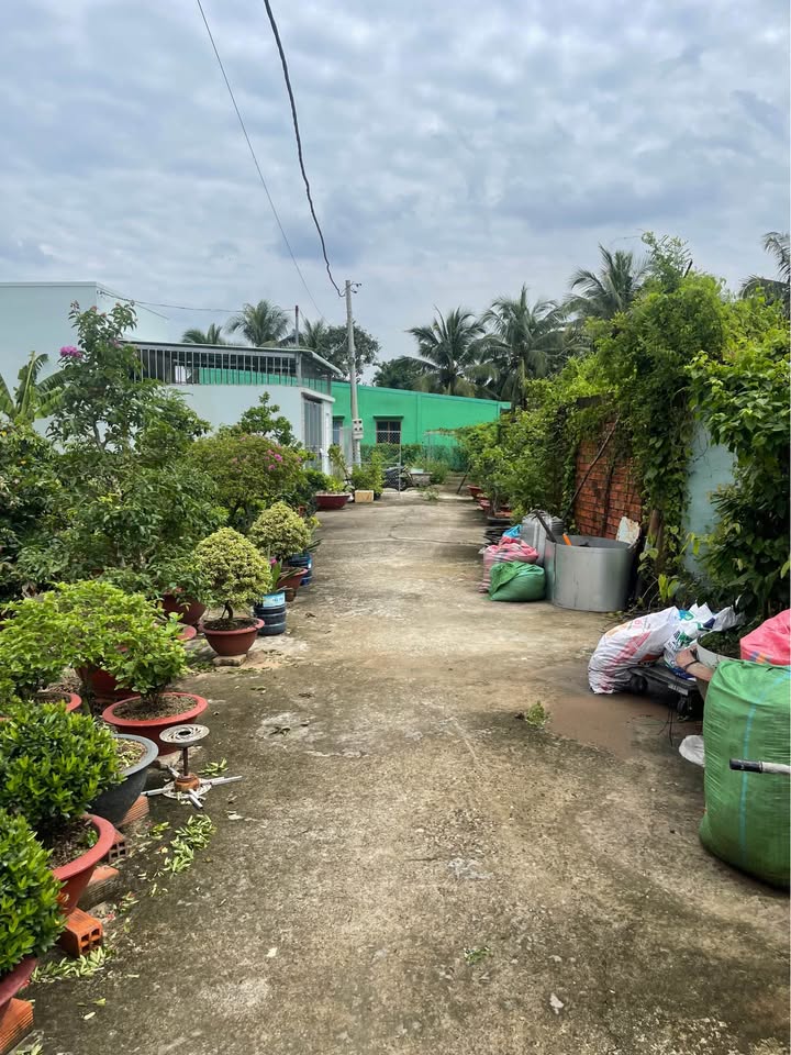 Bán đất thổ cư full thổ tại Mỹ Hưng, Mỹ Phong, Thành phố Mỹ Tho