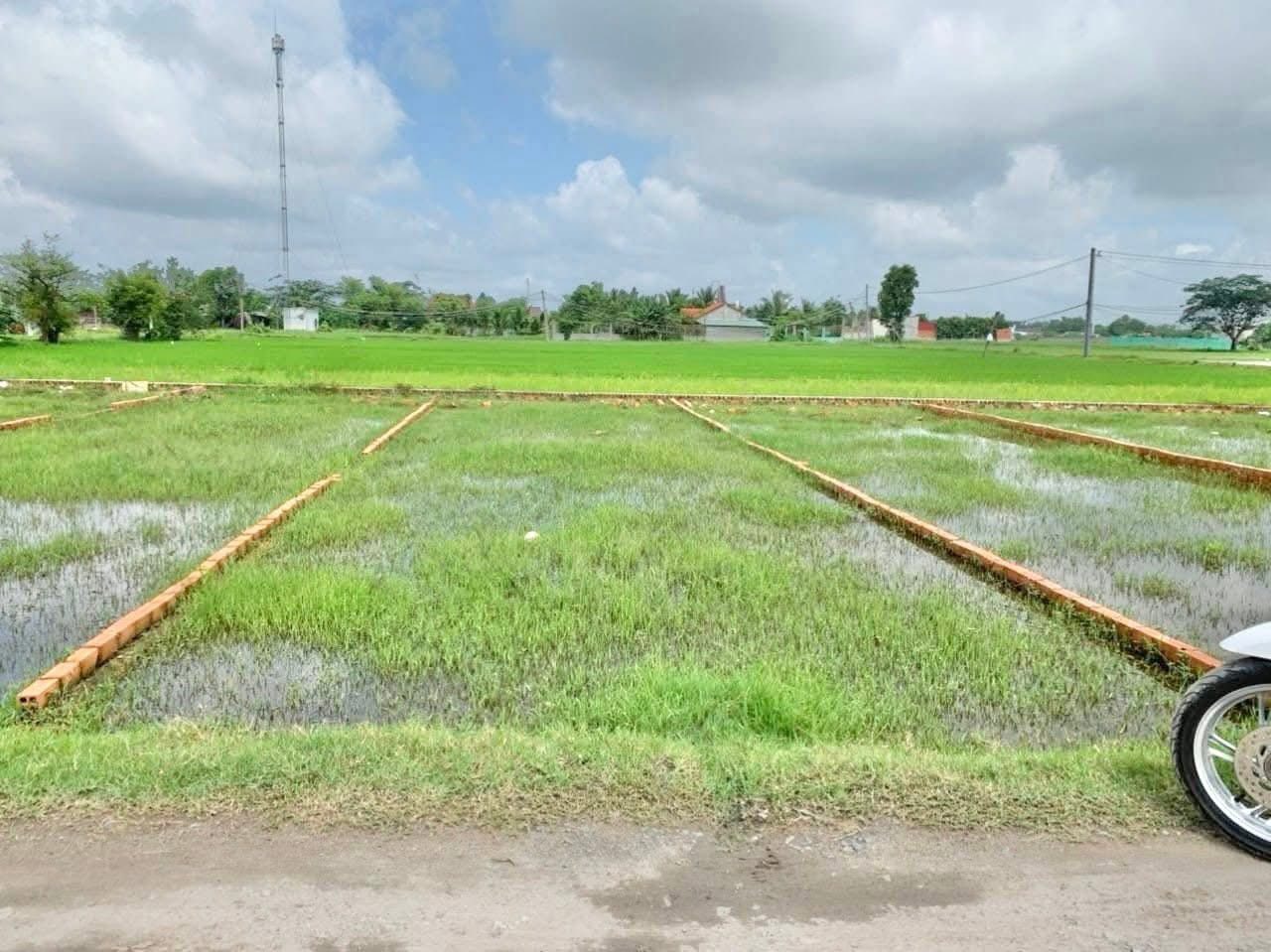 Bán đất thổ cư Ấp 5, Đức Hòa Đông, đường thông 4m