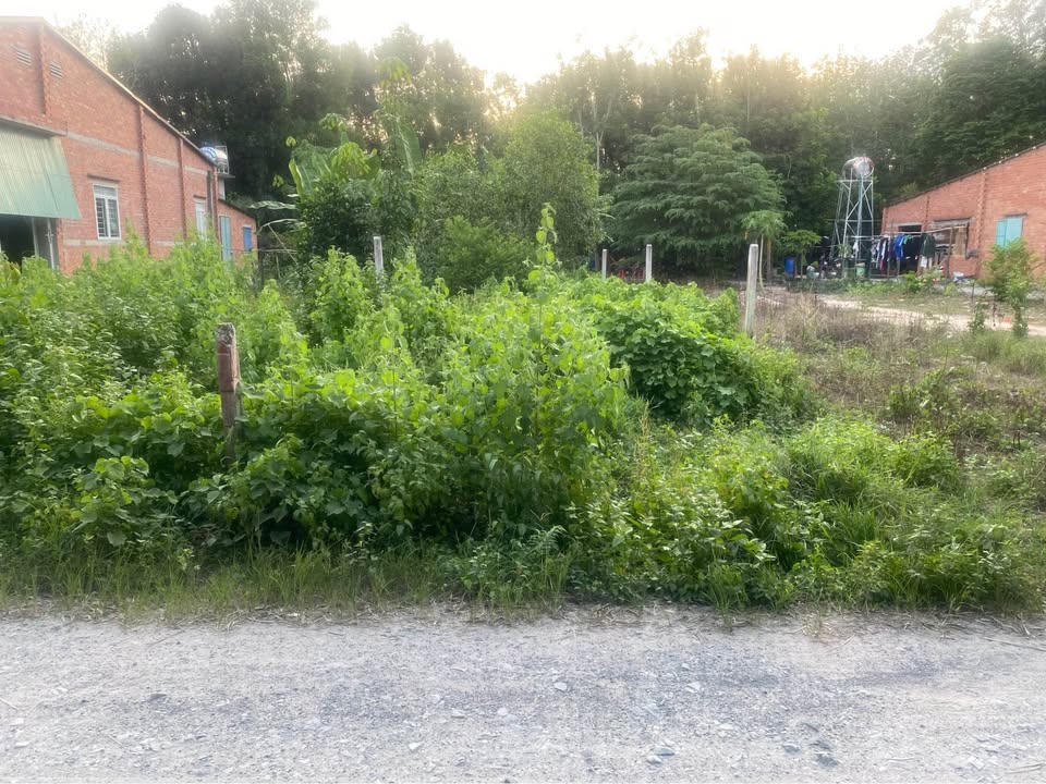 Chính chủ bán lỗ lô đất mặt tiền đường đá mi tại ấp Bến Mương