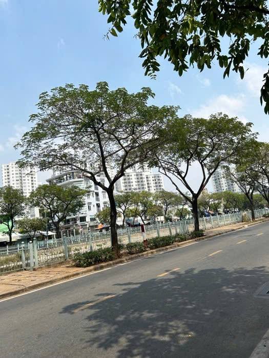 Nhà cần bán tại đường Lò Gốm, quận 6, thành phố Hồ Chí Minh