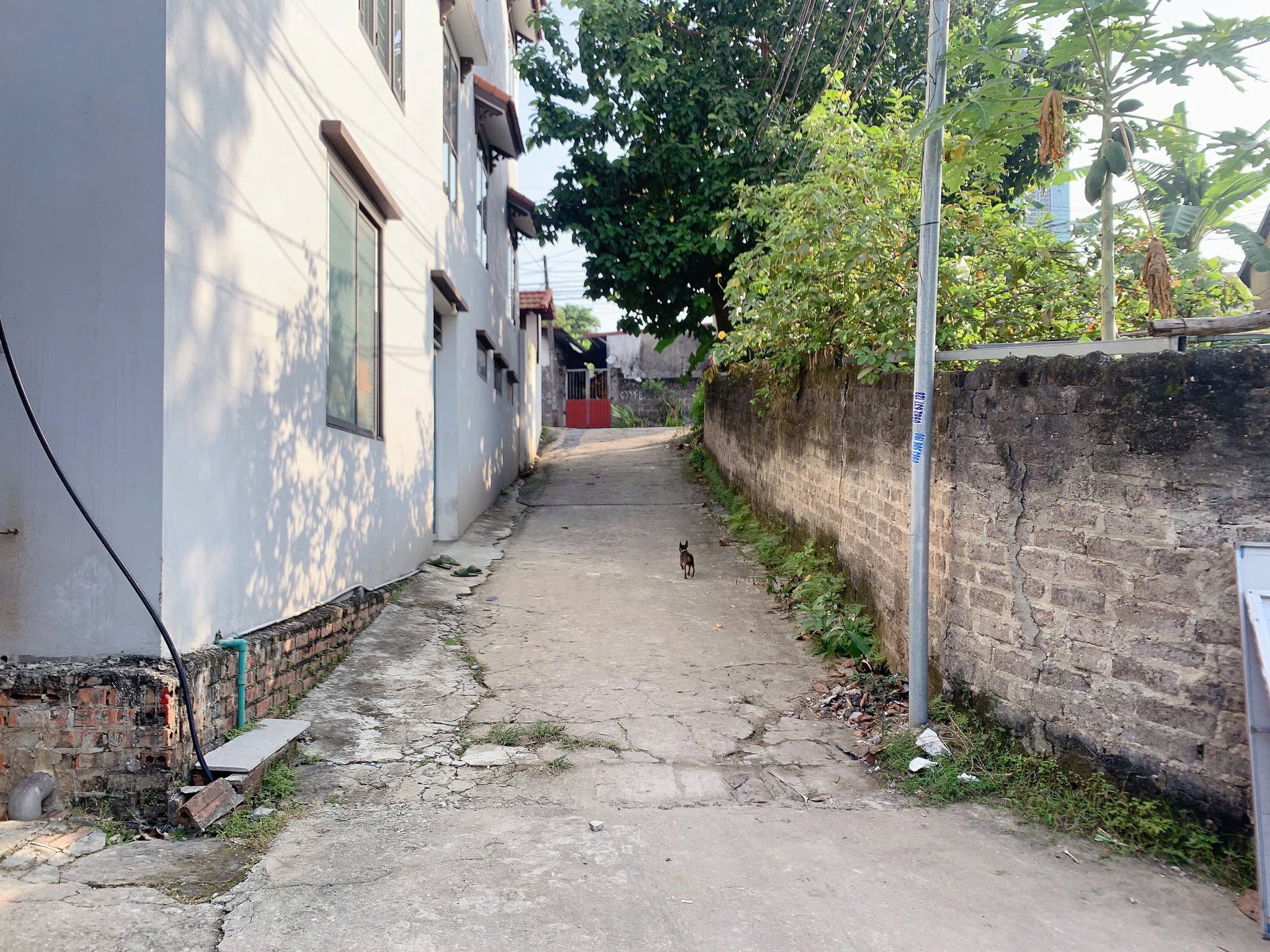 Siêu phẩm ô góc cực đẹp tại khu Liên Minh, Minh Phương, thành phố Việt Trì, tỉnh Phú Thọ