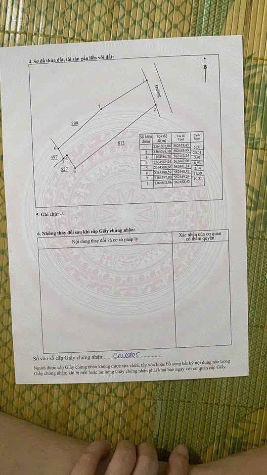 Đất Kim Long, Tam Dương, Vĩnh Phúc - Vị trí đẹp, đầu tư hấp dẫn