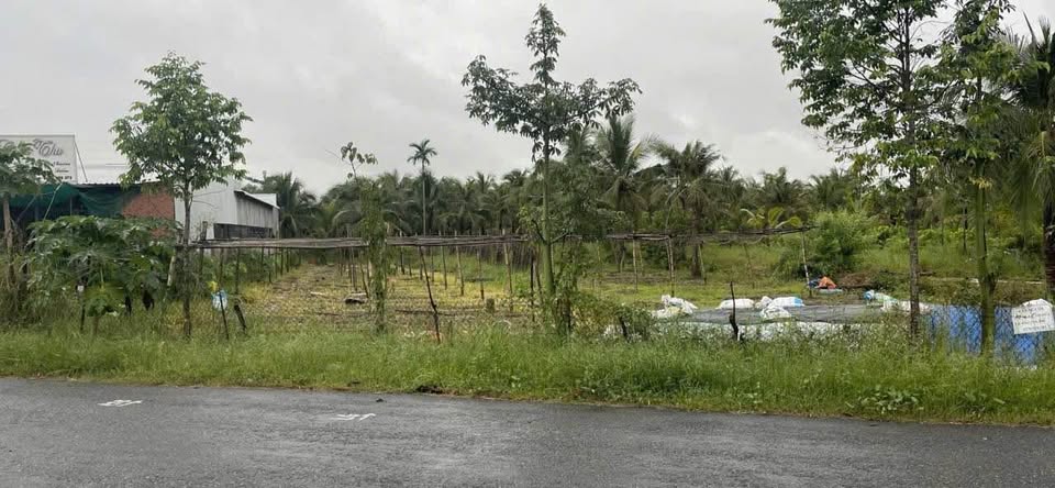 Đất xịn xò Bến Tre, 847m2 mặt tiền 21m, giá chỉ 2 tỷ