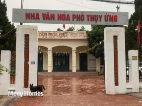 Mảnh đất vàng 33,9m2 mặt phố Thụy Ứng, Đan Phượng cơ hội sở hữu chỉ 3,6 tỷ