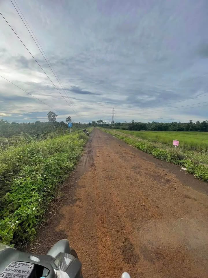 Đất Phú Xuân diện tích lớn, 400m2 thổ cư, mặt tiền đường nhựa, giá hấp dẫn