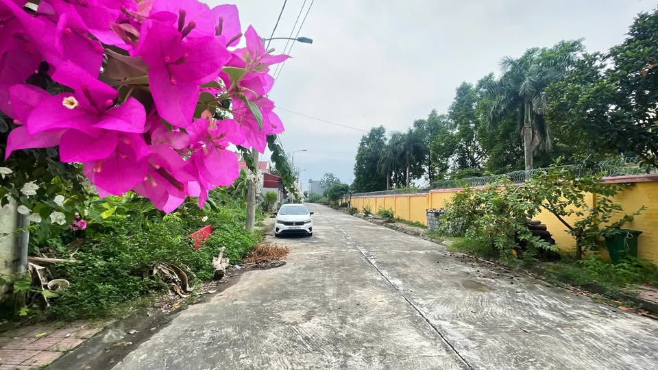 Đất lô góc 2 mặt tiền, diện tích 120m2 tại Đồng Mận, Kim Long, Tam Dương, Phú Thọ