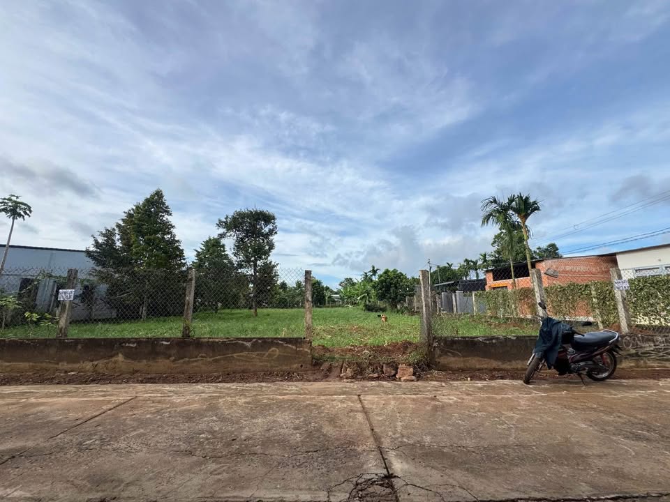 Ba lô đất Mậu Thân, Tân An - Giá hời, vị trí vàng, ai đến cũng mê