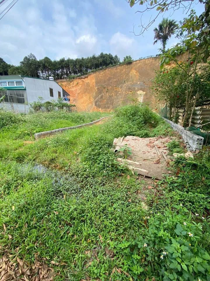 Khám phá mảnh đất tuyệt vời tại mặt đường Láng Tròn, phường Nam Cường, tỉnh Yên Bái