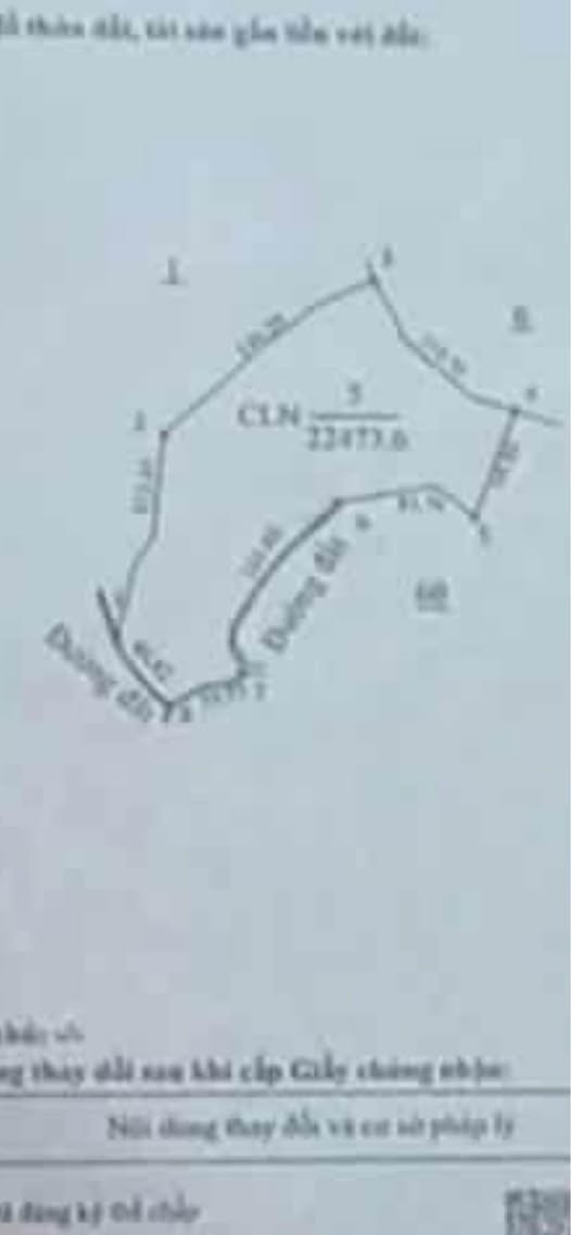 Siêu phẩm đất vàng Quảng Trực, sổ đỏ trao tay, lời nhuận bền vững