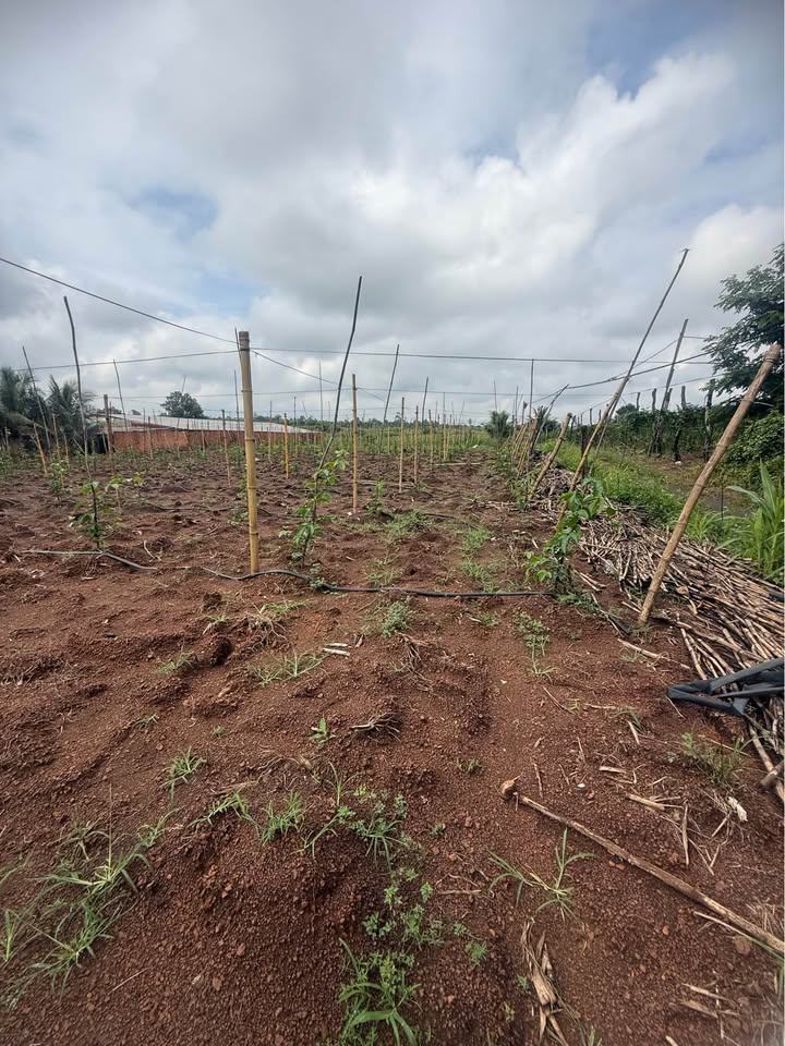 Chào mừng quý vị đến với mảnh đất Eakuar, Đắk Lắk