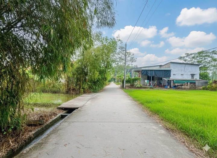 Đất vàng Giáp Trung - Hương Văn sổ đỏ 157m2, giá hời chỉ 3xx triệu