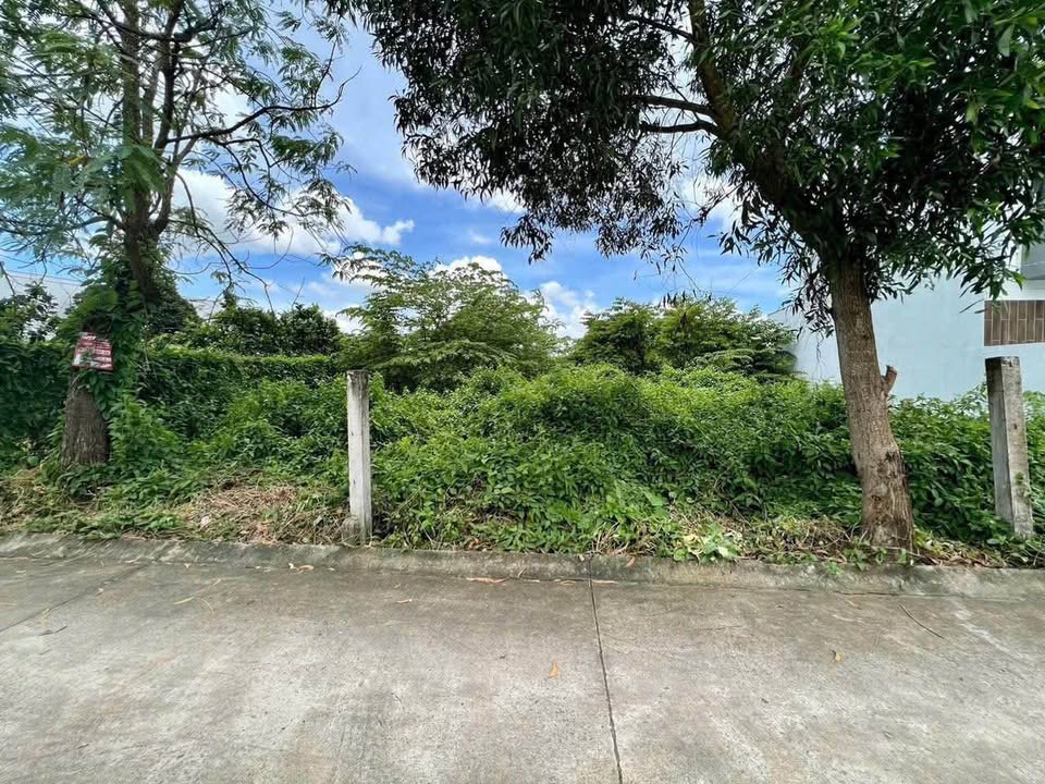 Bán đất Trà Vinh 2 nền 5x19.5m, đường ô tô, giá hời 620 triệu/nền