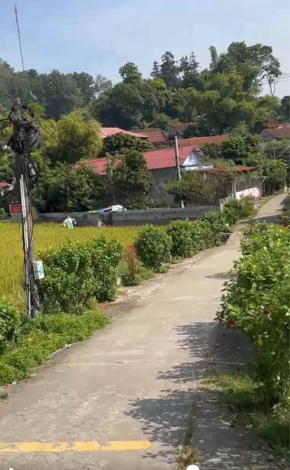 Đất Hoàng Đồng 86.7m² nở hậu nhẹ, giá chỉ 526 triệu - Xe máy vi vu, chủ nhà chờ bạn