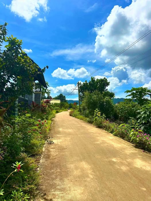 Đất thổ cư 88m² tại Ka Đơn, Đơn Dương hội đầu tư hấp dẫn