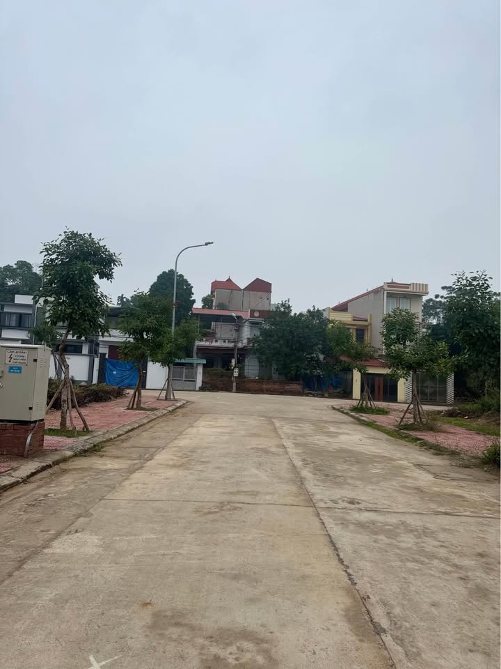 Đất vàng Vĩnh Yên 98m2 mặt tiền 7m, giá hời như mơ