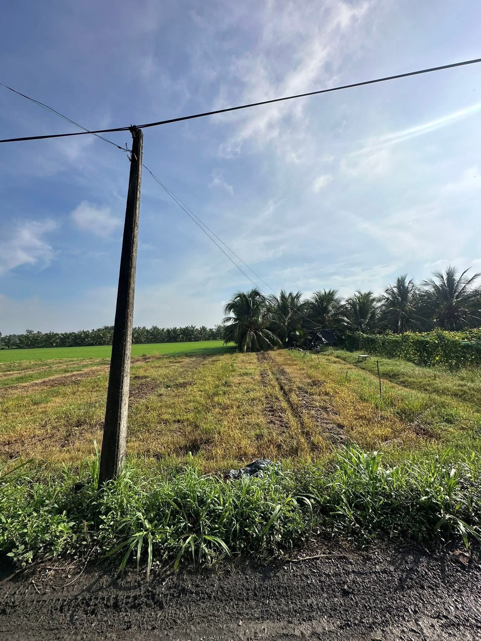 Đất vàng Gò Công Tây - 153m2 thổ cư, hướng Tây Nam, giá hời