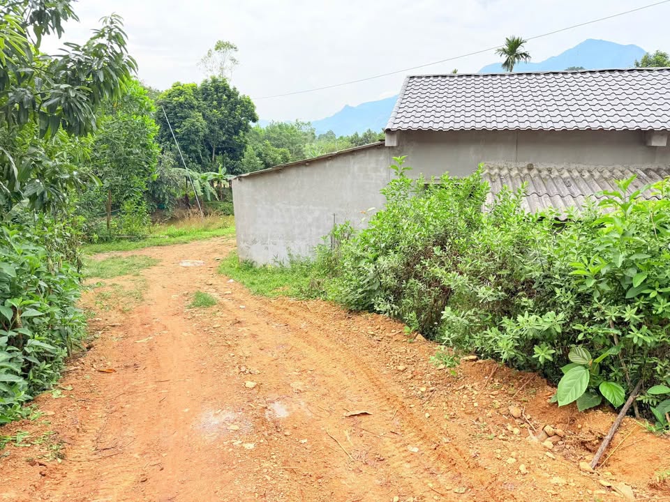 Đất Phú Thọ 260m² vuông vắn, mặt tiền rộng, dân cư đông đúc