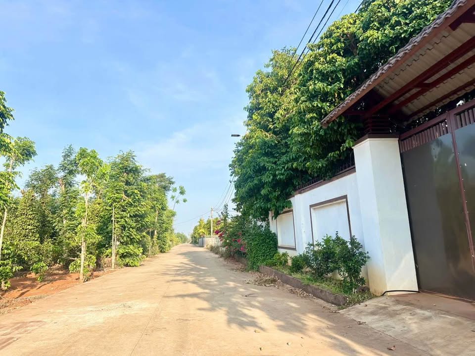 Đất hẻm xe hơi tránh nhau, sau kho Thái Phúc, cách tỉnh lộ 8 chỉ 600m, giá 1,8 tỷ